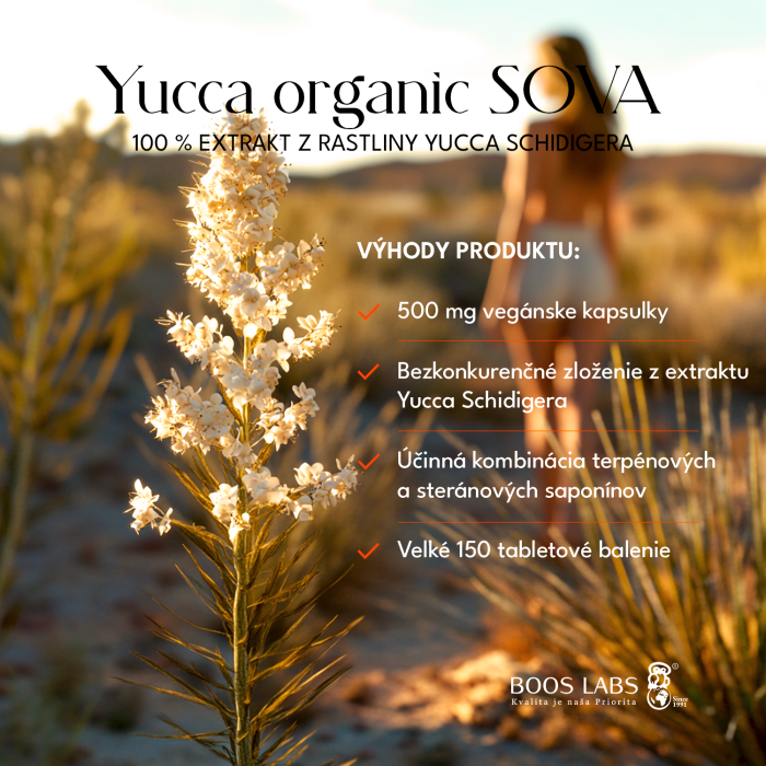 yucca organic sova 02