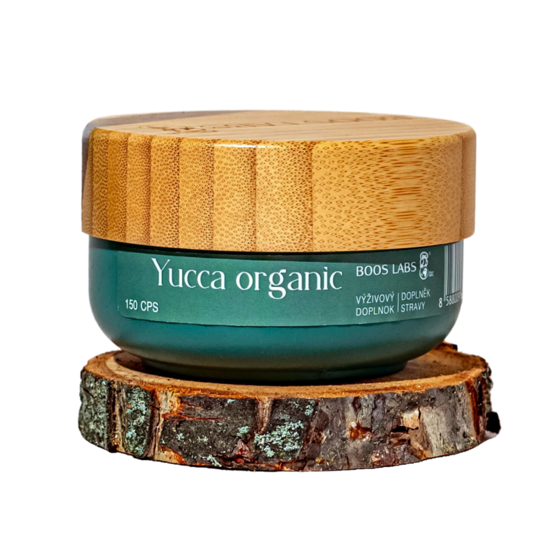 Yucca organic 1